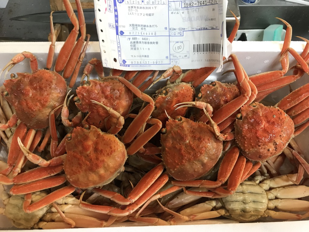 柴山産せこ蟹入荷！！湯葉巻き天婦羅絶品！！